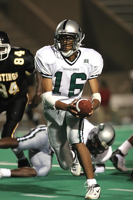 慧与耐心的 慧与耐心的