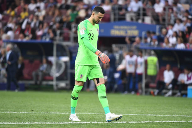 表现尤为亮 表现尤为亮